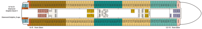 Deck 9 - Dolphin